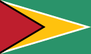 Vlag van Guyana