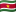 Vlag van Suriname