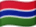 Vlag van Gambia