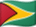 Vlag van Guyana