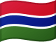 Vlag van Gambia