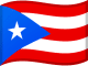 Vlag van Puerto Rico