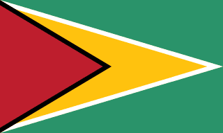 Vlag van Guyana