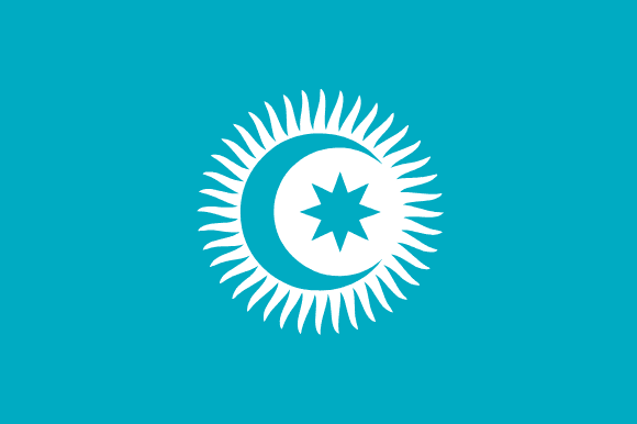 Organisatie van Turkse Staten
