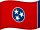 Vlag van Tennessee