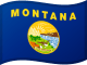 Vlag van Montana