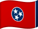 Vlag van Tennessee